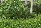 Blythewoodtropical-landscaping-4.jpg; ?>